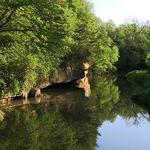 White Pines Forest State Park