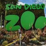 San Diego Zoo