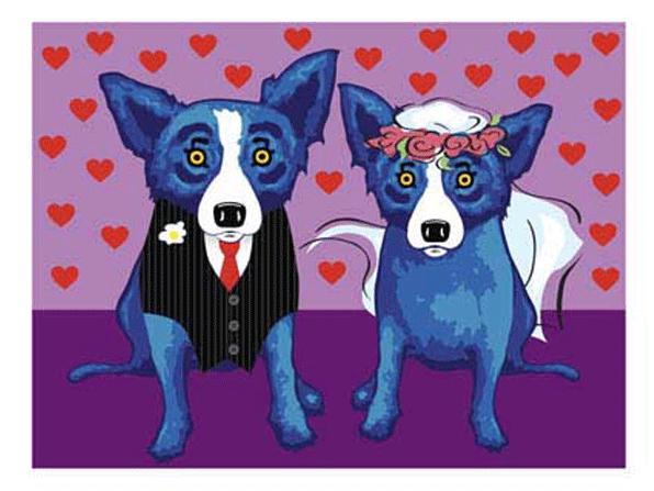 The Wedding Website of Nuriéh Zarrin and Cisco Cooper