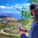 Tarragona Wine Tours