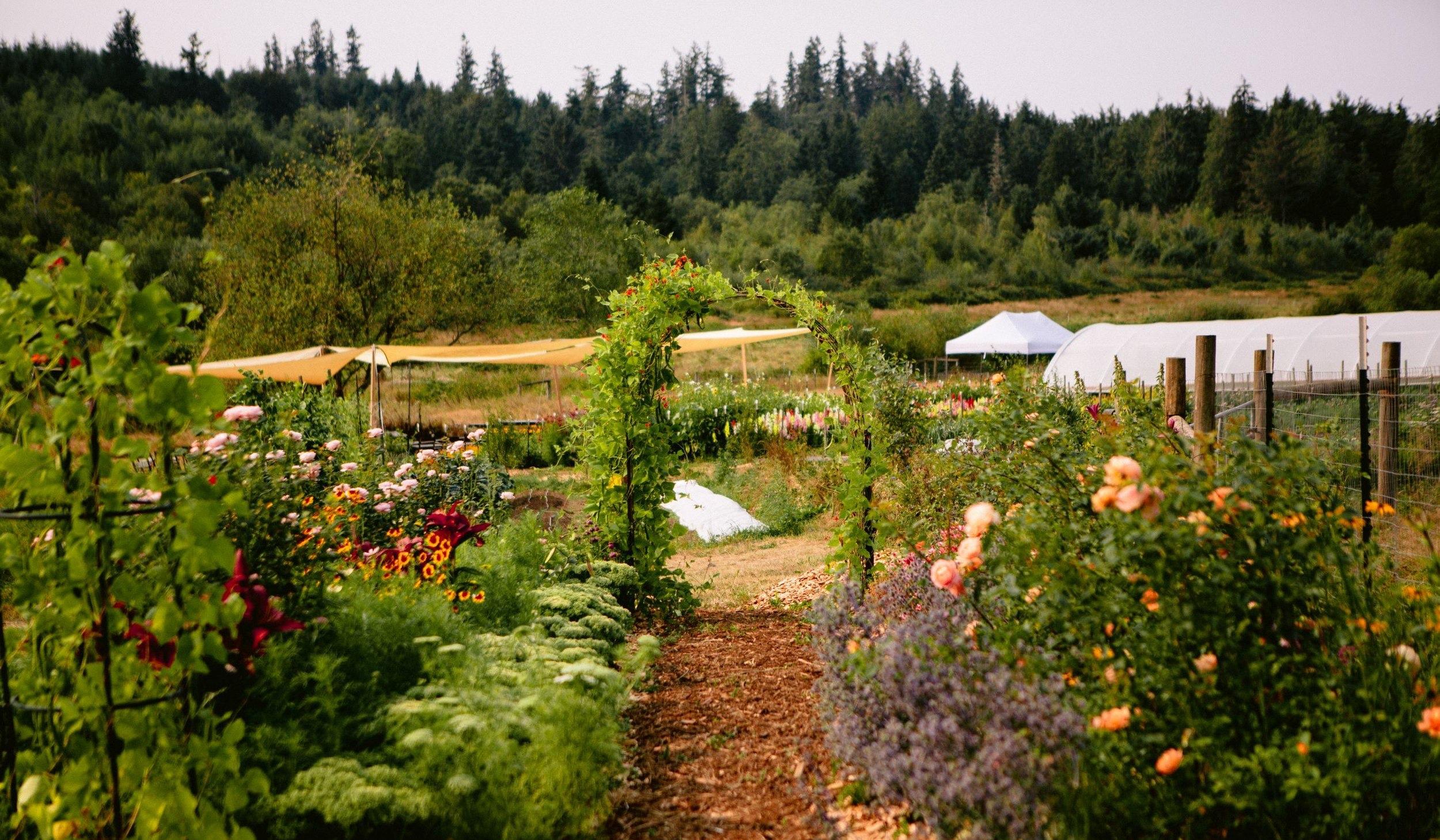 The Wedding Website of Britta Janssen and Sam Robison