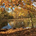 East Rock Park Road
