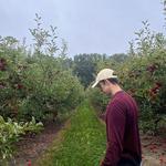 Spicer Orchards Farm Market, Cider Mill, Fudge, Bakery