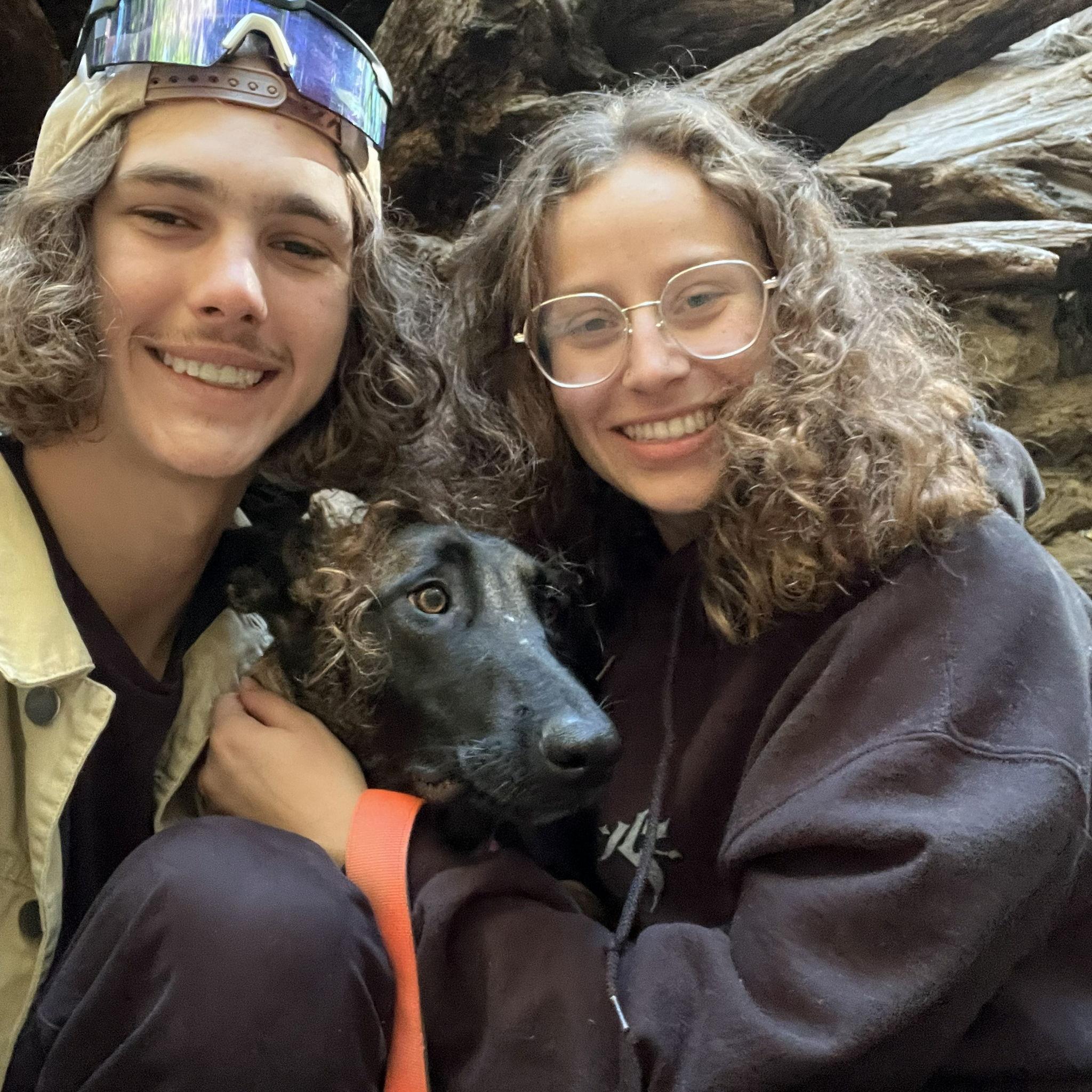 First road trip with our fur baby Rosey.