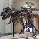 Field Museum