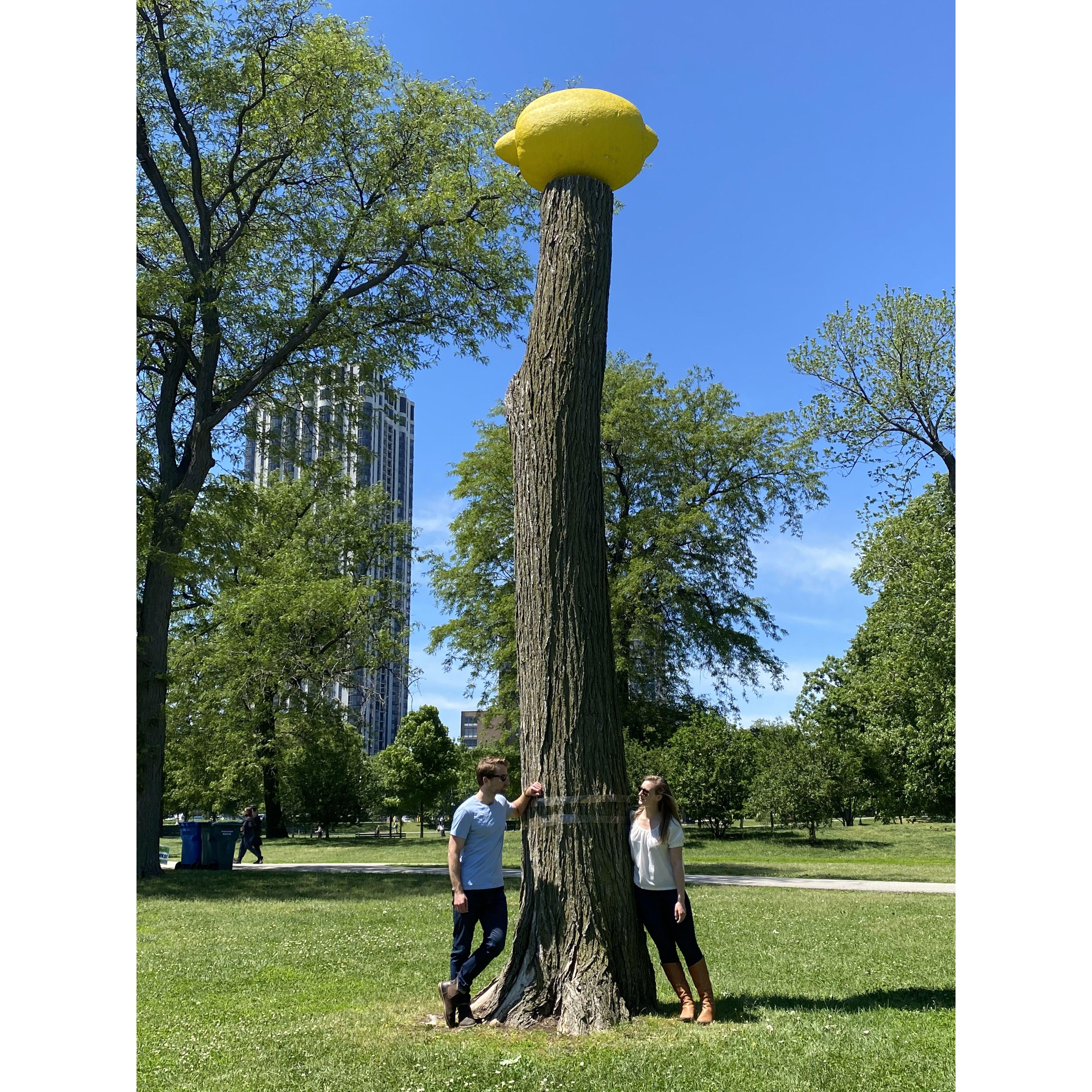 may 2021 - chicago, il