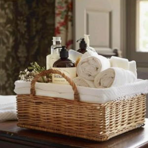 Bathroom Organizer