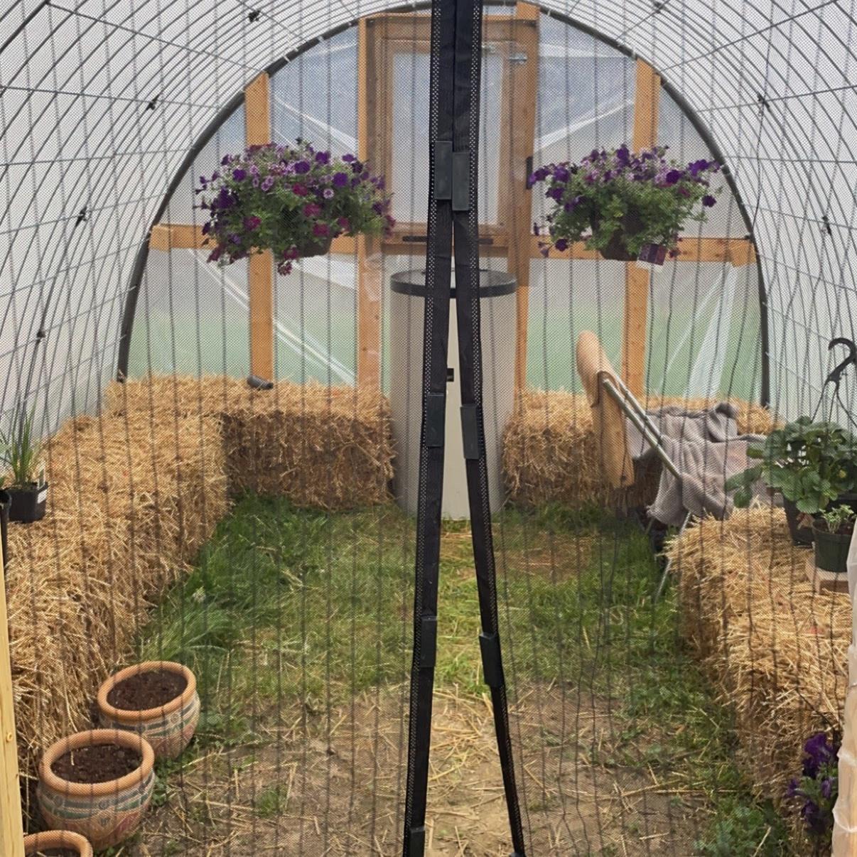 Greenhouse in Action!