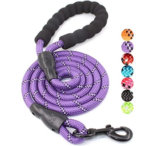 BAAPET 5 FT Strong Dog Leash with Comfortable Padded Handle and Highly Reflective Threads for Small Medium and Large Dogs