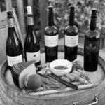 Sheridan Vineyard, The Garden