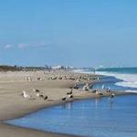 2nd Light Beach and the Beach at the Tides Club