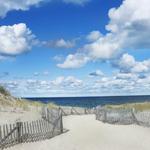 Cape Cod National Seashore