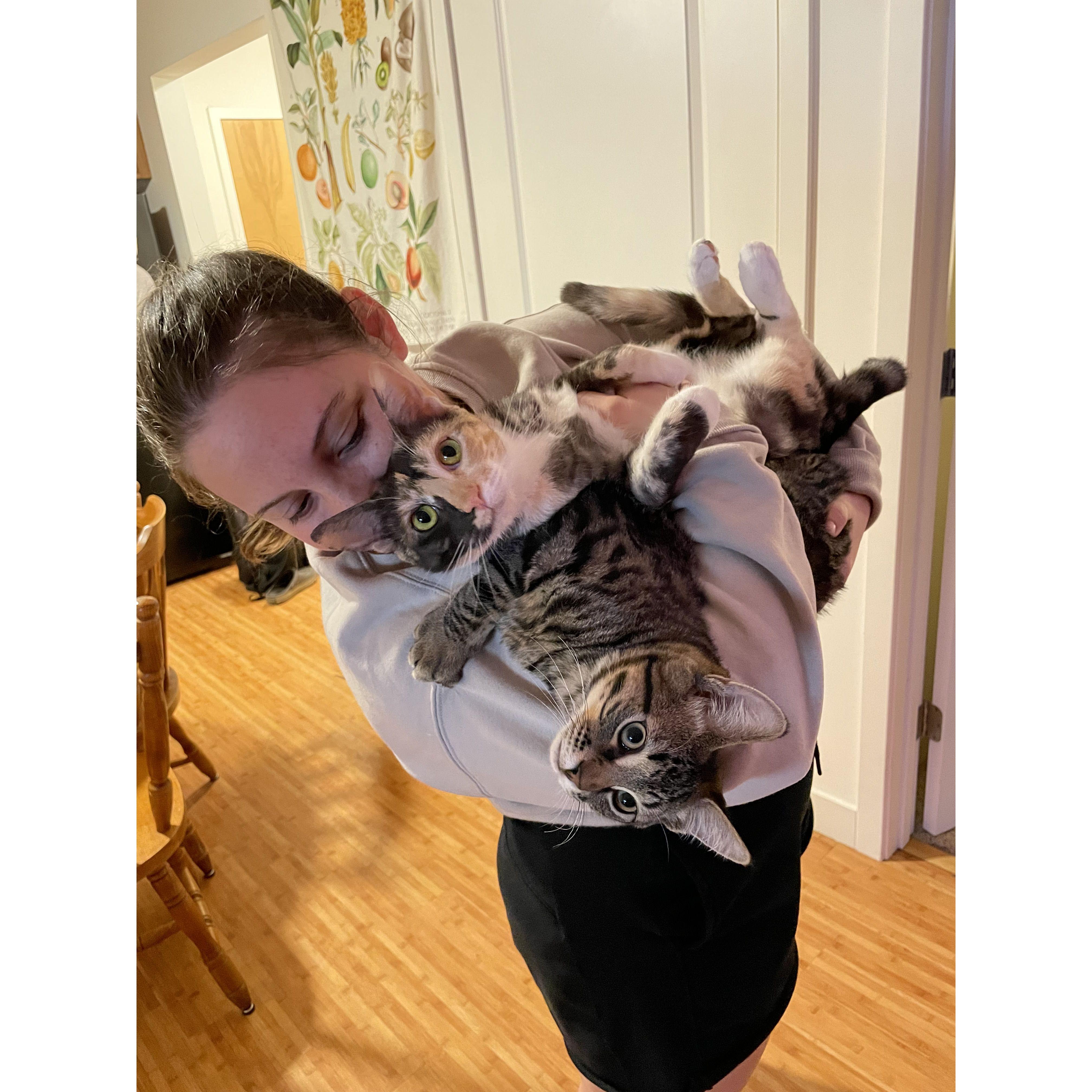 Adopted two cats, Coconut and Bubbles