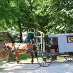 Abe's Buggy Rides