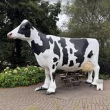 Jilbert Dairy Inc