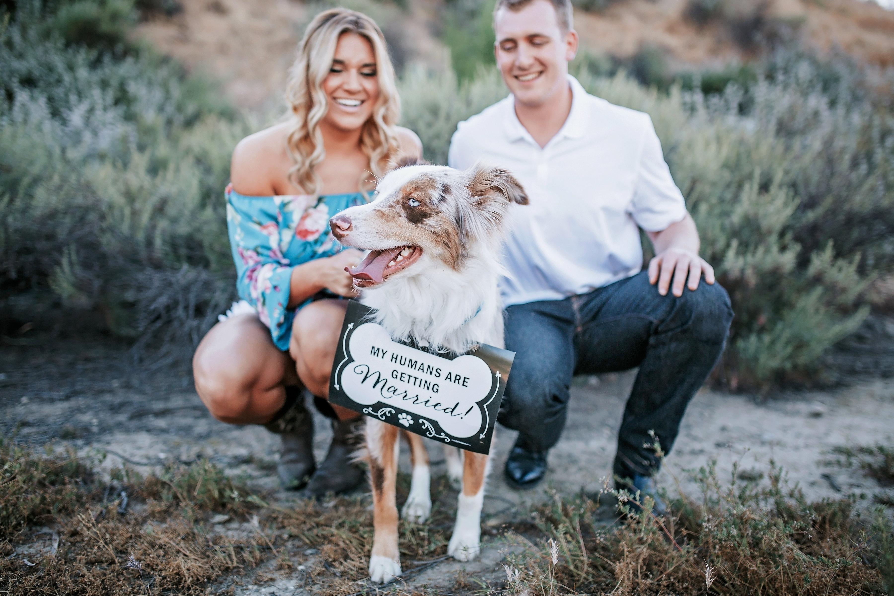 The Wedding Website of Ashley Oliver and Josh Williamson