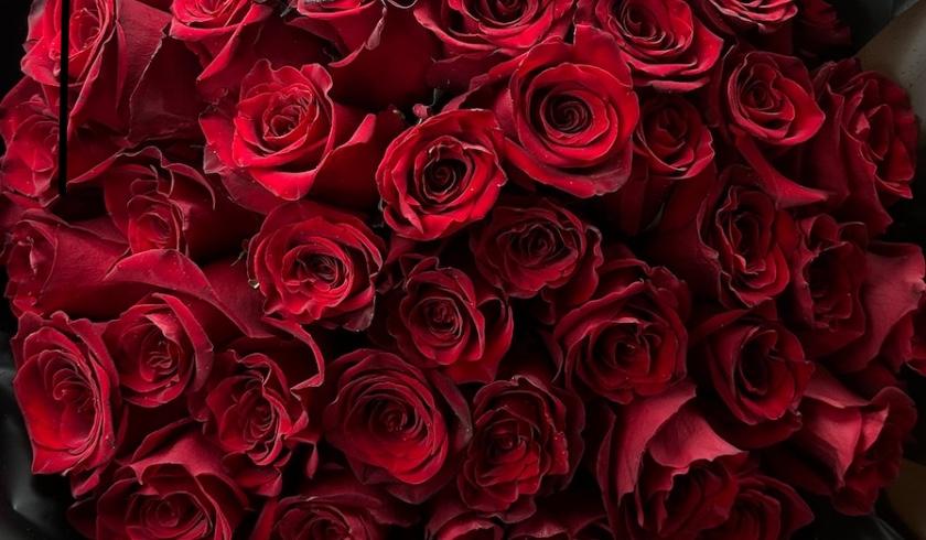 The Wedding Website of Aadilah Muhammad and Toddric Thomas