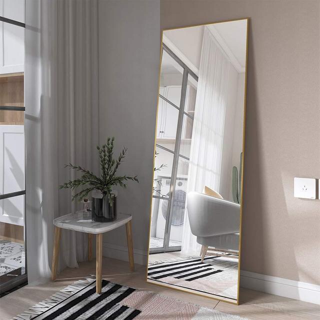 Honyee Full Length Mirror, Floor Mirror Dressing Mirror with Standing Holder Wall Mounted Mirror Framed Mirror for Cloakroom/Bedroom/Living Room(63''x 18'', Glod)