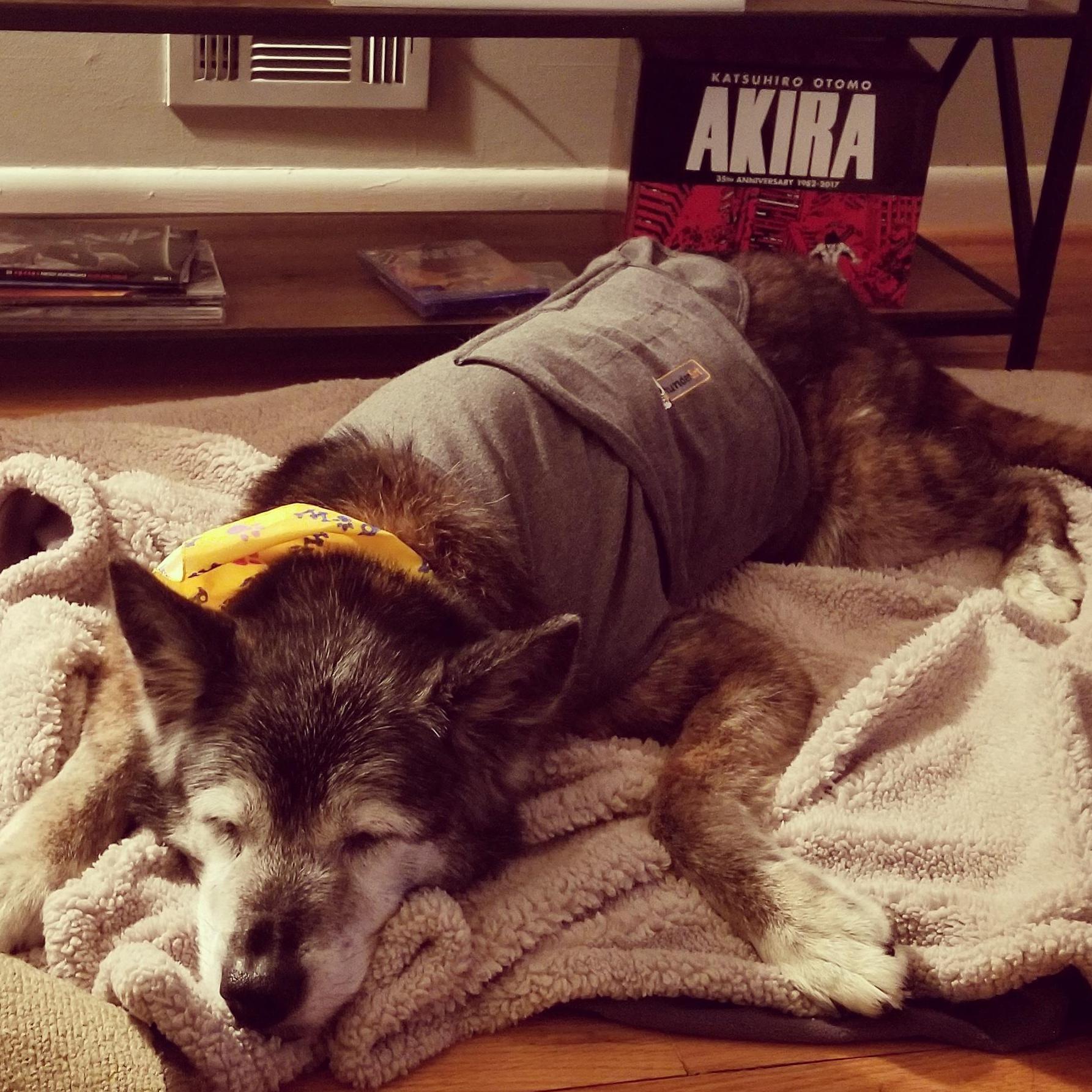 Miss you.  RIP lucy