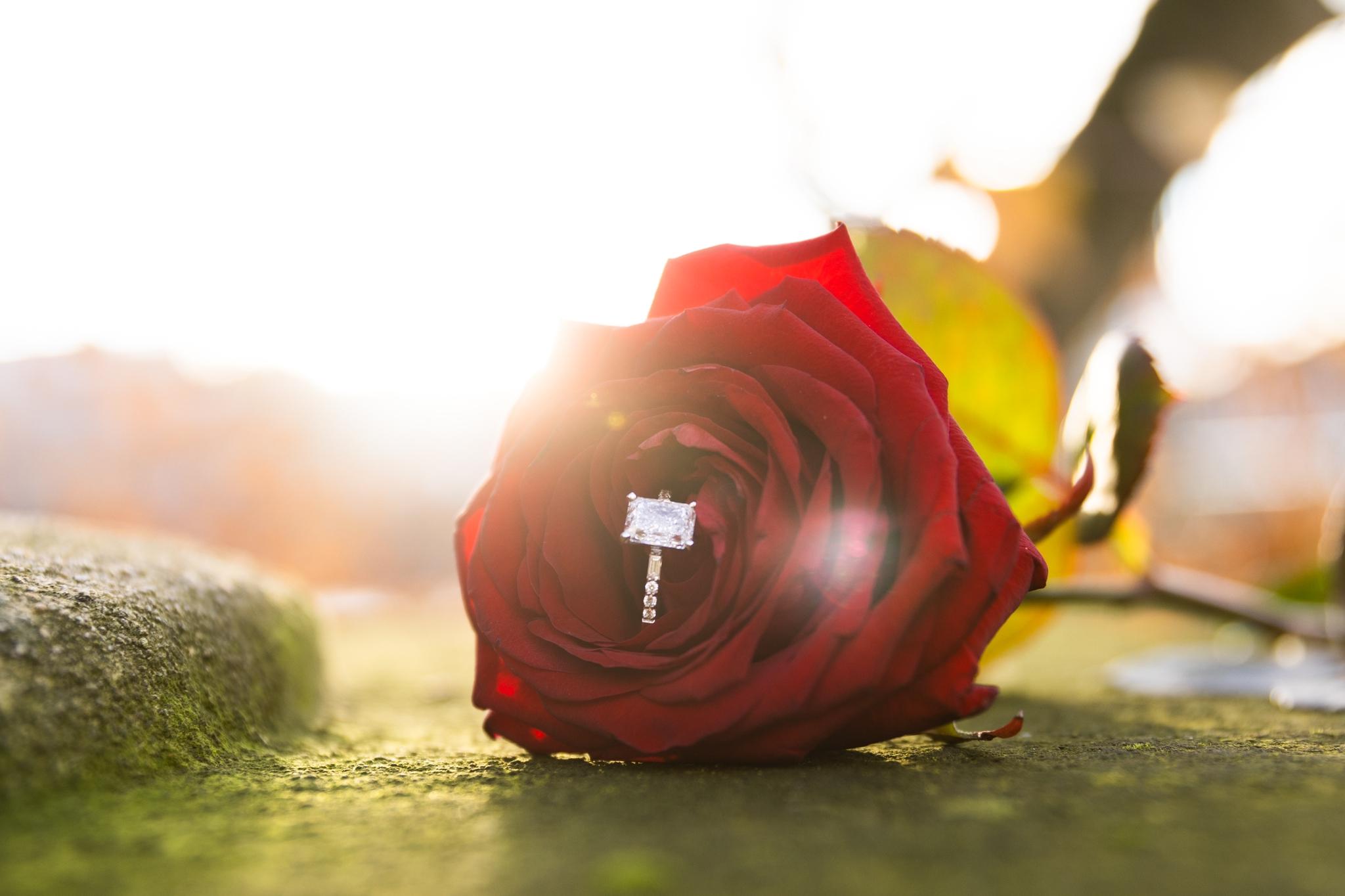 The Wedding Website of Missy Colegrove and Justin Hall