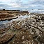 La Jolla Tide Pools/Shell Beach