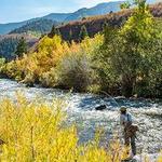 Fly Fishing