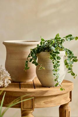 Round Rim Terracotta Jar Planter