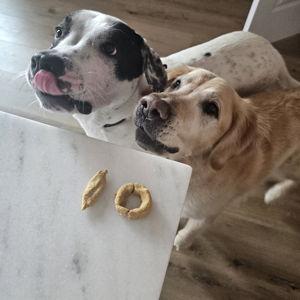 Charlie & Remy Treat Fund
