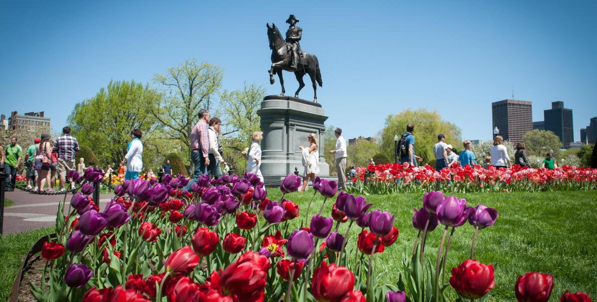 The Wedding Website of Haley Olsen and Ryan Petit