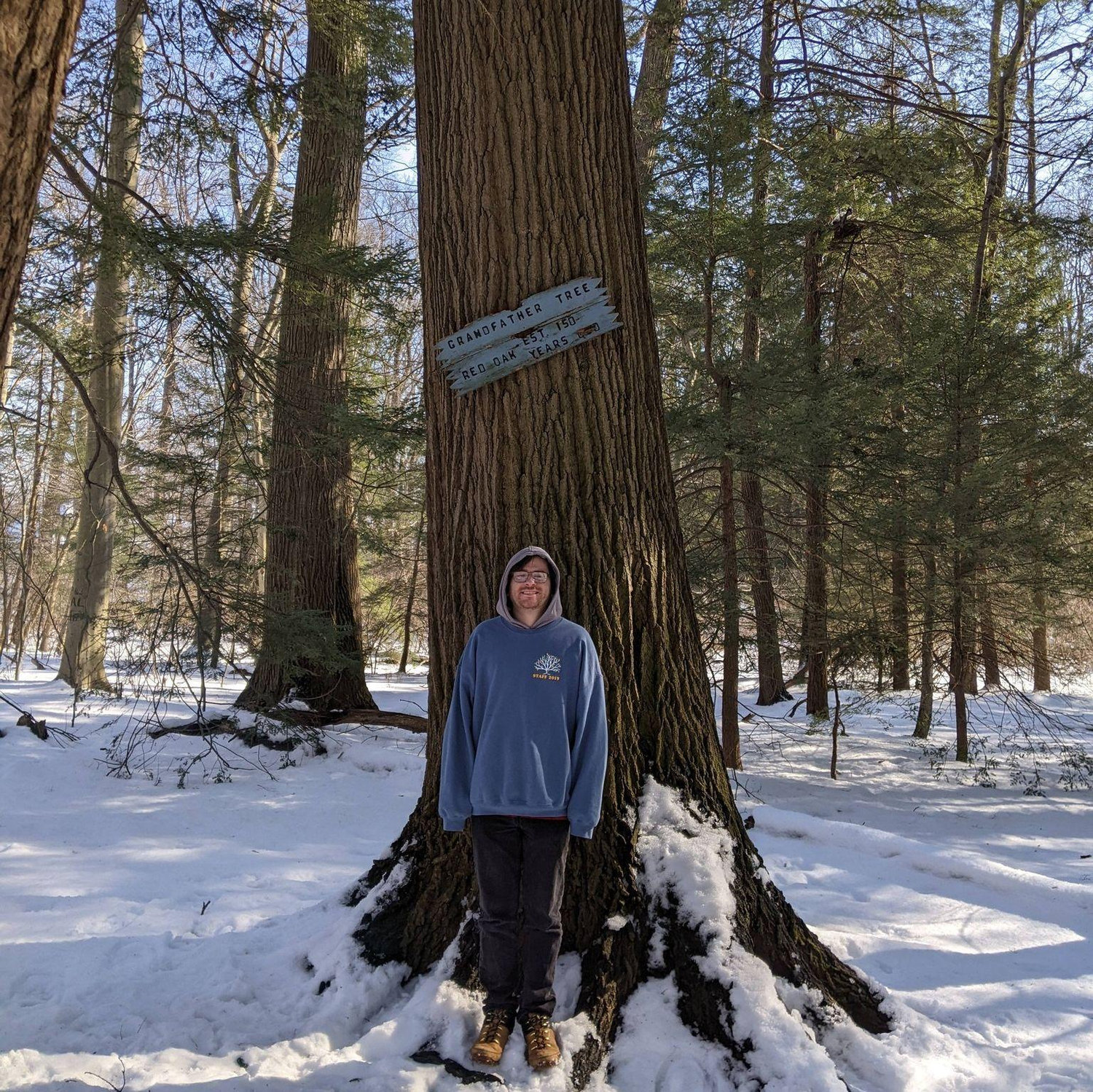 Asbury Woods
