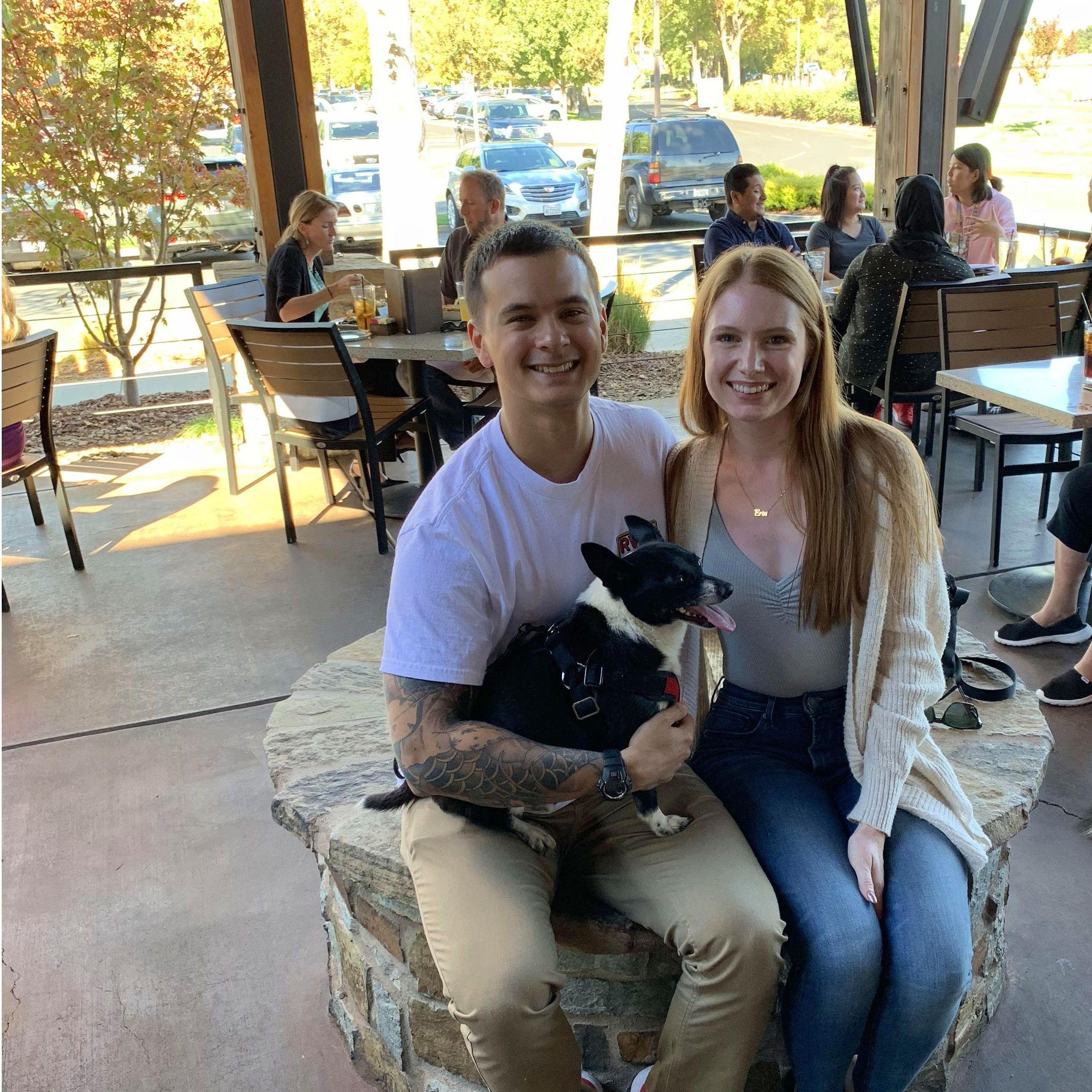 October 2018 | We took Pookah to the Lazy Dog in Concord. He wanted none of the dog food but he was a very good boy as always.