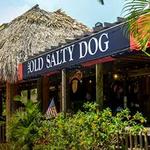 The Old Salty Dog Siesta Key
