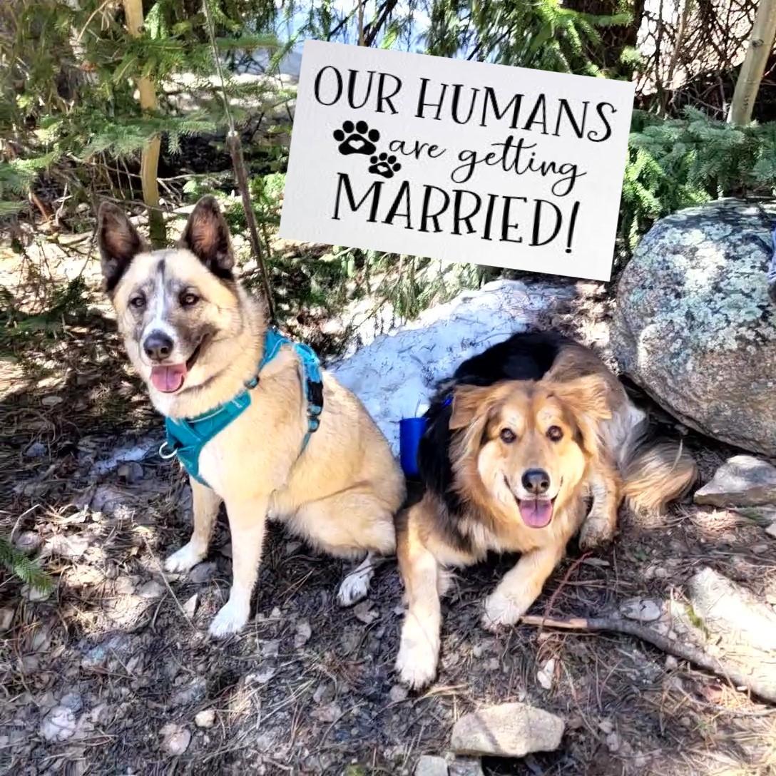 The Wedding Website of Kim Krook and Mike Bryant