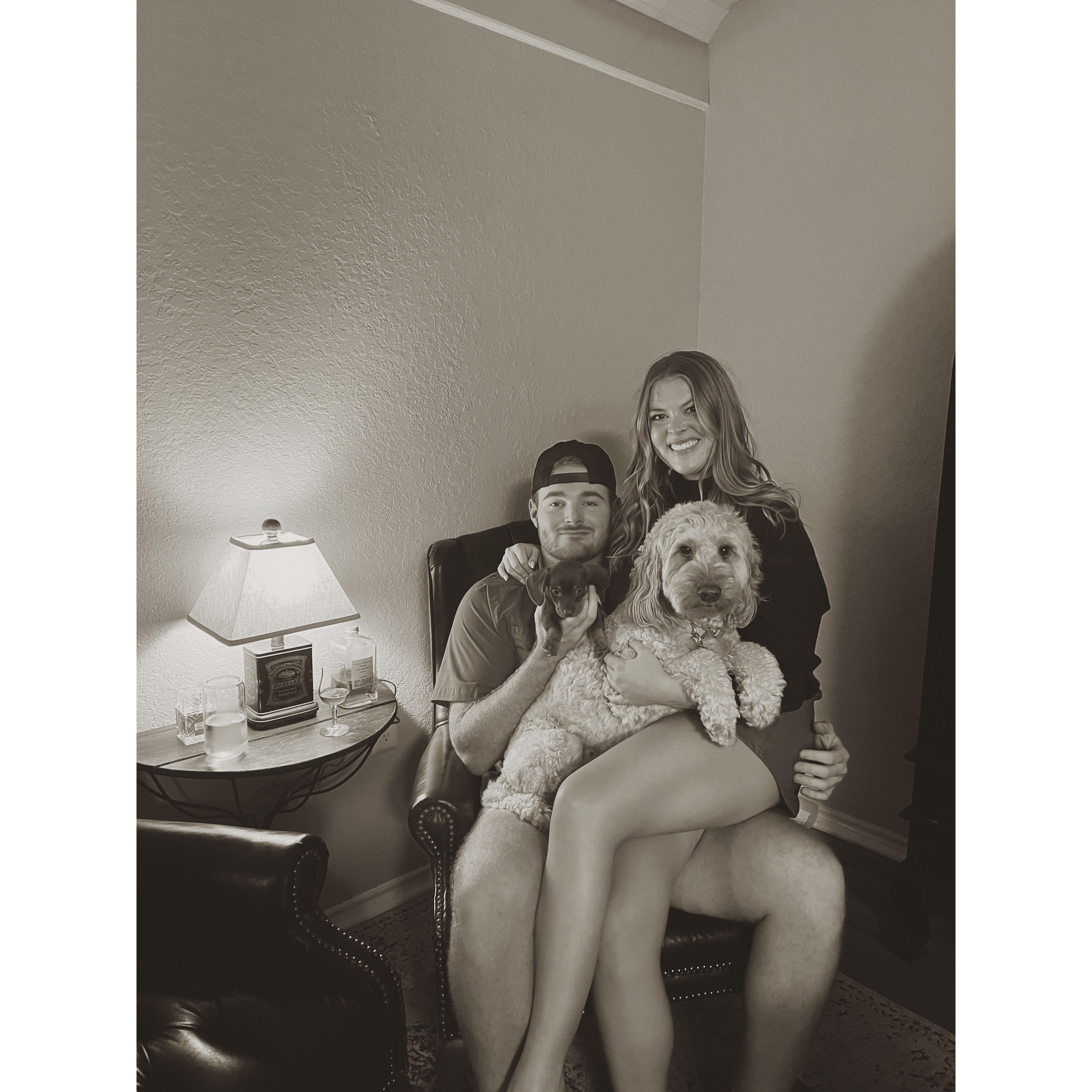 Brought home our Baby Dutton, 2023