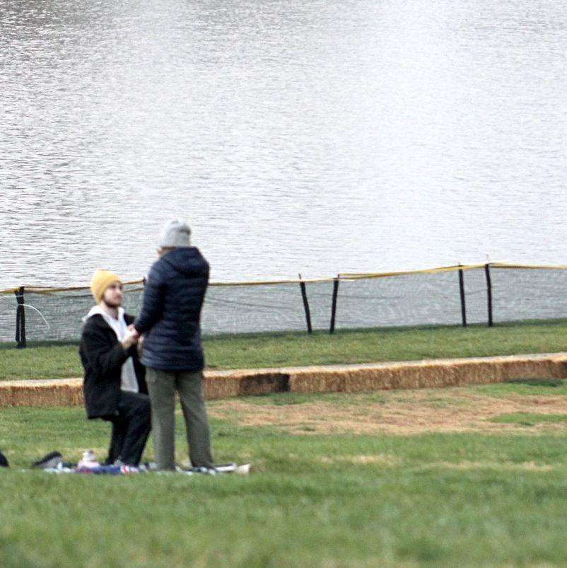 The proposal in Forest Park