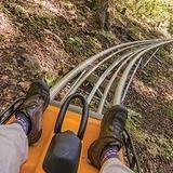 Smokey Mountain Alpine Coaster