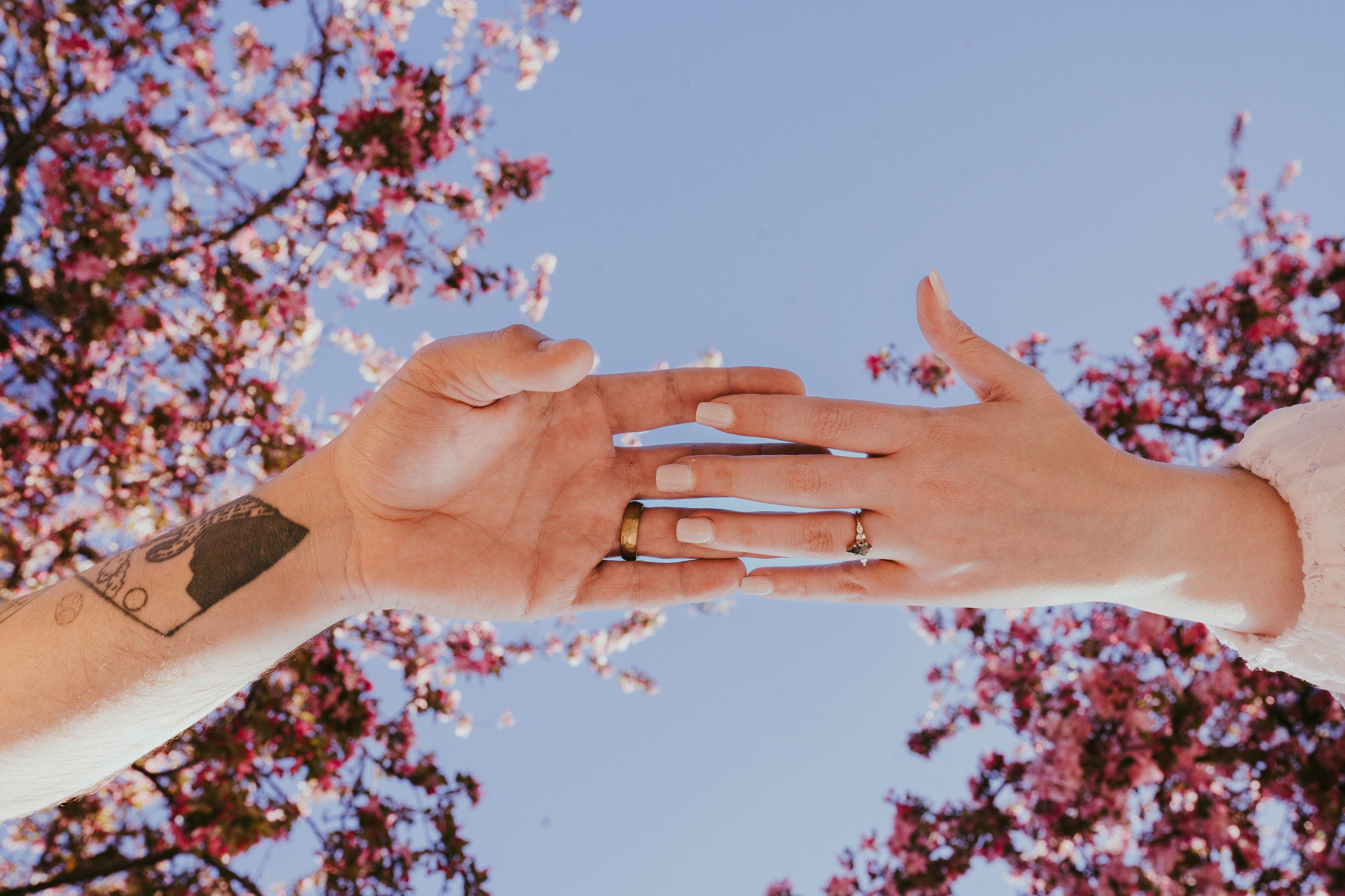 The Wedding Website of Sebastian Schielie and Logan Curtis