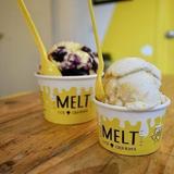 MELT Ice Creams