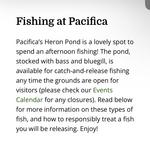 Fishing