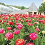 Lauritzen Gardens