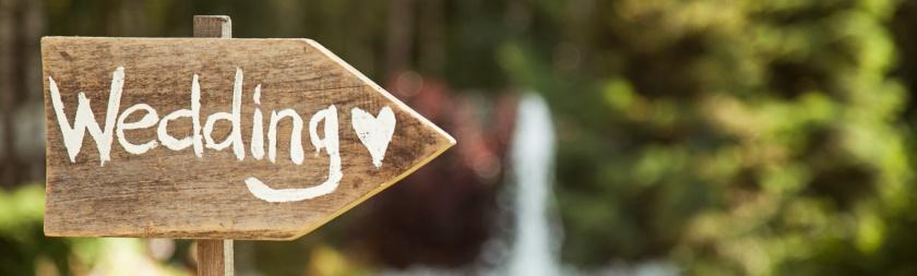 The Wedding Website of Dominque Cook and Tyler Grandy