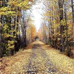 Catskill Scenic Trail