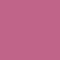 Beach Rose