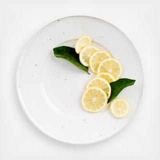 Lowen Salad Plate, Set of 4