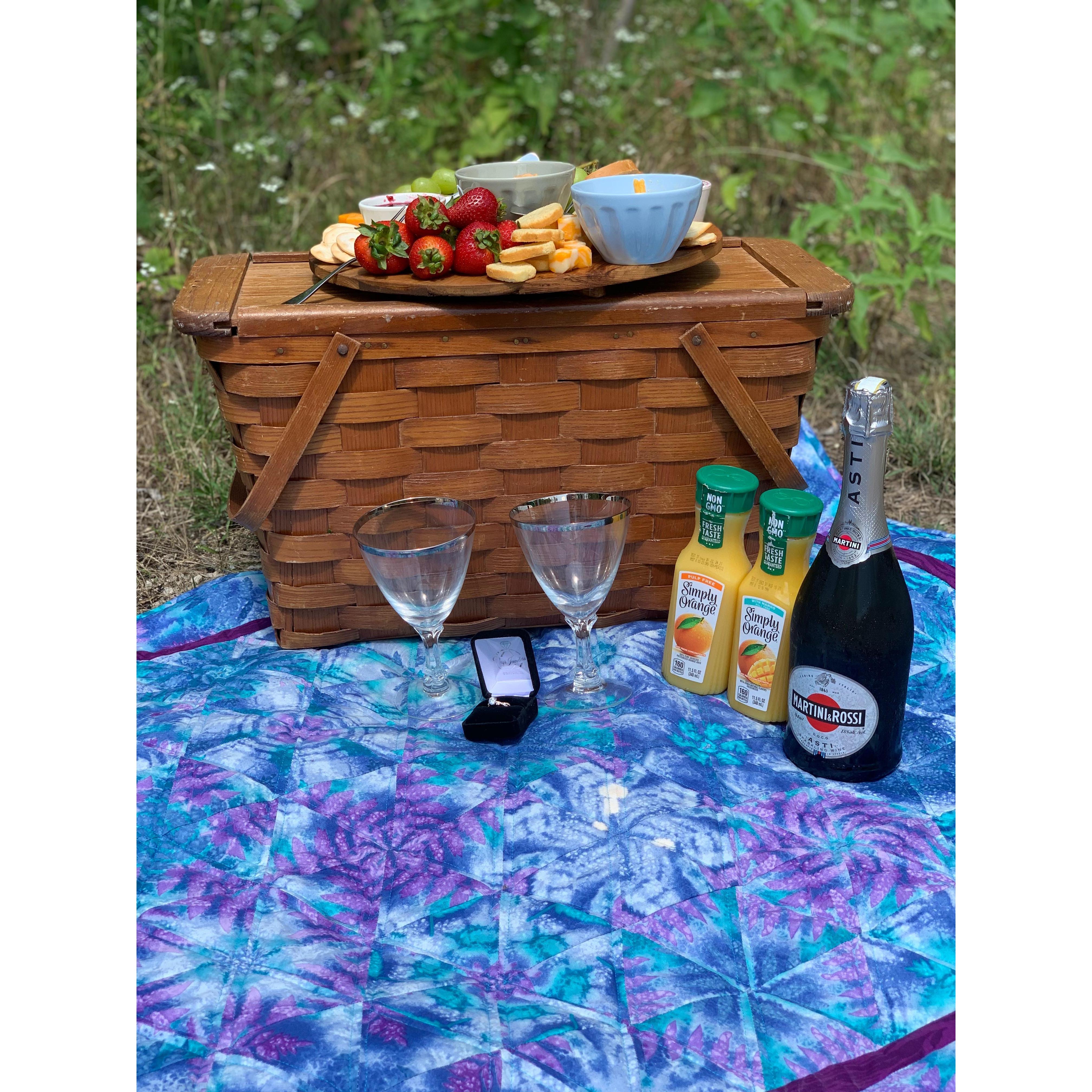 Proposal Picnic