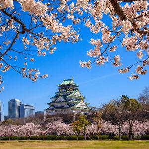Osaka, 3 Nights