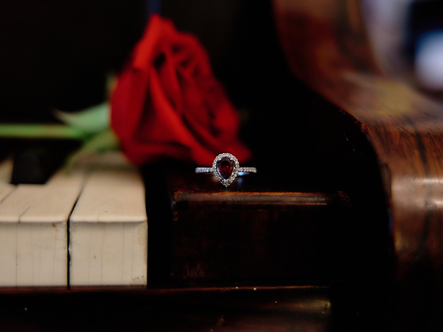 The Wedding Website of Lydia Hustedt Burrow and Mark Campbell