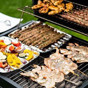 BBQ Grill