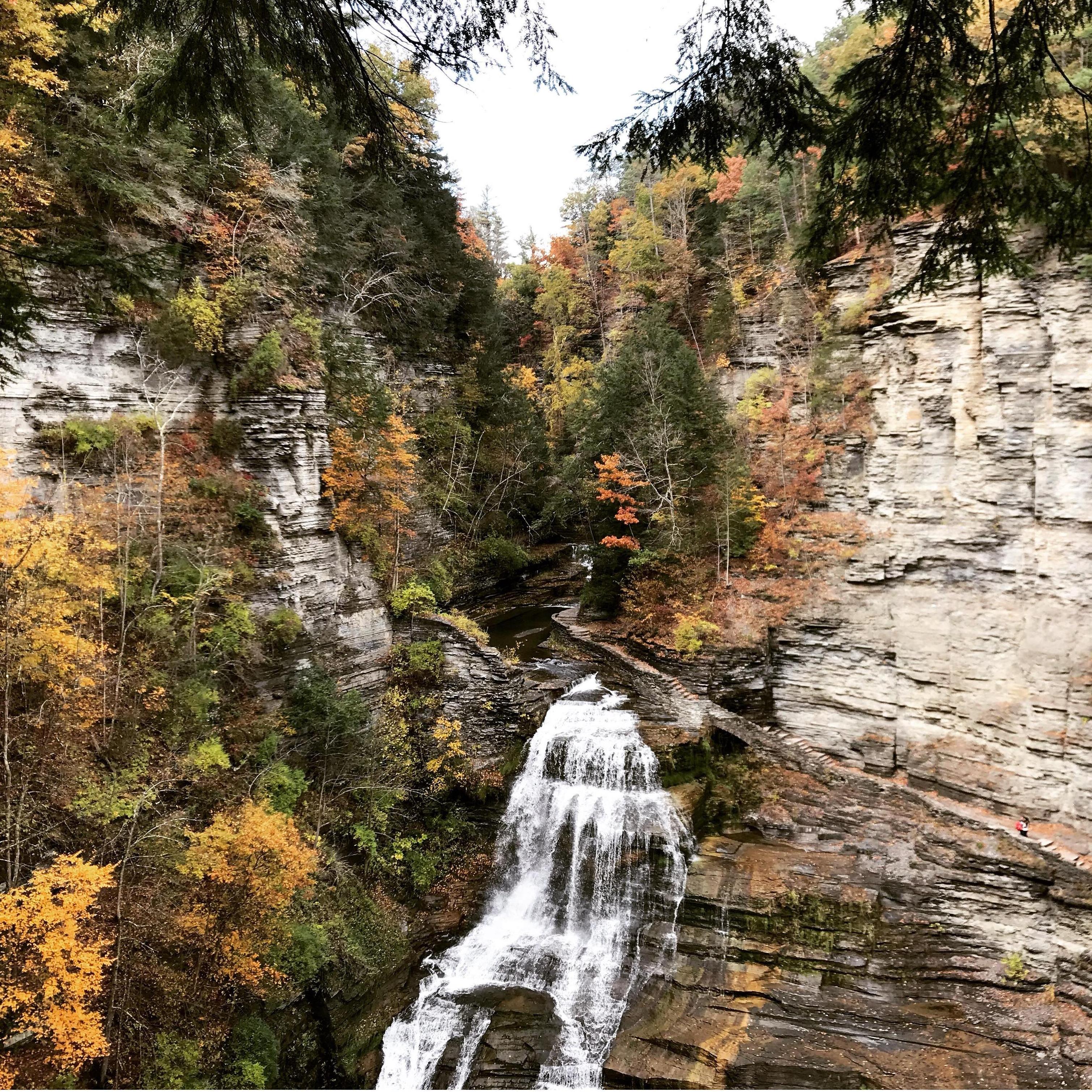 Robert H. Treman State Park, Ithaca, NY.