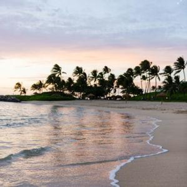 Hawaii Honeymoon Fund!